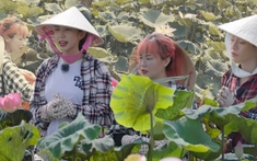 Series 'Nong dân' tập 3: Thùy Tiên đưa Misthy và Đức Phúc về Đồng Tháp hái sen, biến đồng lúa thành sân khấu