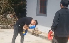 VIDEO: Trẻ trâu thách đấu võ sĩ và cái kết thâm tím mặt mày