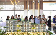 Ngày Càng Nhiều Người Chọn Về Tỉnh Mua Căn Hộ Chung Cư Vừa Túi Tiền