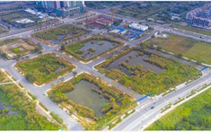 Gần 470 lô đất tại Ninh Bình được đấu giá trong tháng 8, giá khởi điểm thấp nhất 3,5 triệu đồng/m2