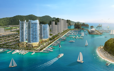 Xuất Hiện Dấu Hiệu Phục Hồi, Sự Trở Lại Của Condotel Có Gì Đặc Biệt?