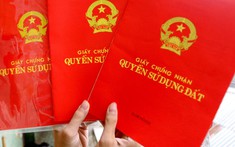 Bao Nhiêu Tuổi Được Đứng Tên Sổ Đỏ? [Cập nhật 2023]