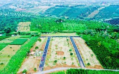 Lâm Đồng phê duyệt quy hoạch sử dụng đất đến năm 2030 của nhiều địa phương cấp huyện