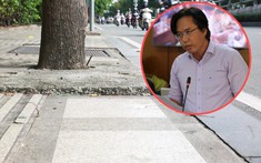 Bê tông thấm nước là gì? Tại sao TP.HCM lại dùng vật liệu này để trám quanh gốc cây?
