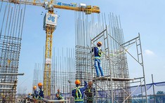 ĐHĐCĐ bất thường của Xây dựng Hoà Bình bất thành