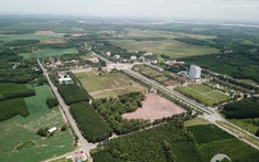 Đồng Nai bàn cách khai thác hiệu quả hơn 20.000ha đất công