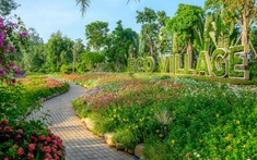 Giải bài toán thiếu thiên nhiên trong không gian sống