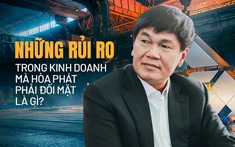 Buôn thép, trứng gà, điều hòa và nay bán cả vỏ container… ông chủ Hòa Phát sẽ “bỏ túi” bao nhiêu tiền trong năm 2023?
