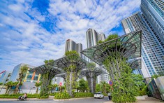 TNR Holdings của đại gia Nguyệt Hường báo lãi tăng gấp 3 lần 6 tháng đầu năm, nợ phải trả hơn 19.000 tỷ đồng