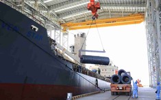 Mặt hàng này của Việt Nam được hơn 30 quốc gia săn đón, xuất khẩu thu về 5 tỷ USD chỉ trong 7 tháng