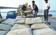 Việt Nam có 3 sản phẩm xuất khẩu nằm trong nhóm hàng hóa “uy hiếp” thị trường nội địa Đài Loan