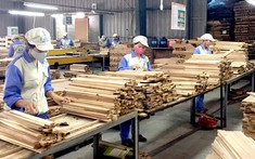 Một quốc gia châu Âu nhập khẩu trăm triệu USD đồ gỗ nội thất của Việt Nam, là thị trường nhập khẩu lớn thứ 3 thế giới