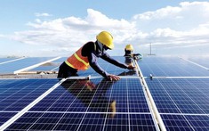 Một số điểm mới đáng chú ý trong dự thảo Thông tư giá điện gió, điện mặt trời