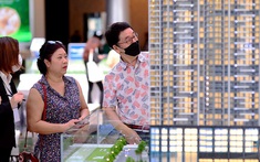 TP.HCM yêu cầu rà soát 25 doanh nghiệp thành lập sàn giao dịch bất động sản