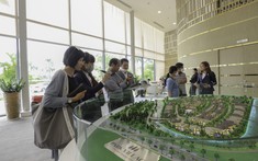 Nhu Cầu Mua Bán Nhà Đất Bình Dương, Long An Phục Hồi Tốt, Đồng Nai, BR-VT Chưa Hết Khó Khăn