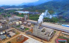 Alphanam và Creed Group sẽ đầu tư khu công nghiệp, nghỉ dưỡng và nhà ở xã hội tại Lào Cai?