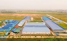Bắc Giang có thêm một Cụm công nghiệp rộng 77ha