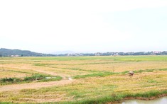 Bắc Giang quy hoạch thêm một khu dân cư phía Nam rộng 44ha