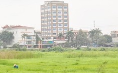 Thanh Hoá “khai tử” 4 dự án nhà ở trị giá hơn 5.000 tỷ đồng