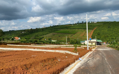 Lâm Đồng có bao nhiêu lô đất nền giao dịch thành công trong tháng 8/2023?