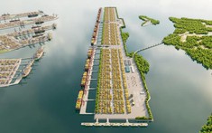 Chính phủ yêu cầu làm rõ tác động của “siêu cảng” 5,5 tỷ USD tại Cần Giờ