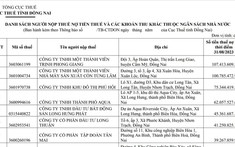 115 doanh nghiệp ở Đồng Nai bị bêu tên vì nợ thuế
