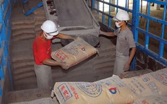 Bất chấp thị trường bất động sản ảm đạm, Xi măng Long Thành bất ngờ báo lãi tăng đột biến hơn 6.200% so với cùng kỳ