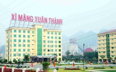 Xi măng Xuân Thành của em trai bầu Thụy kinh doanh ra sao?