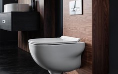 “Ăn gian” diện tích cho những phòng tắm nhỏ bằng… chiếc bồn cầu treo tường