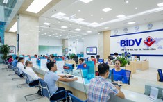 Rao khoản nợ 516 tỷ của chủ đầu tư Khu dân cư Bách Giang 16 lần chưa thành, ngân hàng đại hạ giá một nửa còn 236 tỷ