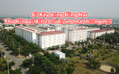 Sở Xây dựng Đồng Nai kiến nghị thu hồi quỹ đất 20% dự án nhà ở thương mại