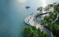 Vùng đất Blue Zones thứ 6 trên thế giới nằm ở đâu?