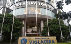 Viglacera chi trả cổ tức “khủng”, có cổ đông nhận về cả trăm tỷ đồng