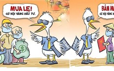 Bẫy “lùa gà” quen thuộc, tại sao nhiều người vẫn sập?