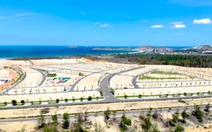 Đẩy nhanh tiến độ bồi thường, giải phóng mặt bằng loạt dự án lớn trong Khu kinh tế Nhơn Hội