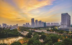 Lợi nhuận sụt giảm mạnh nhưng “đại gia” bất động sản phía Nam vẫn "bỏ túi" 3,5 tỷ đồng mỗi ngày