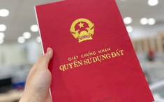 Đất ghi ký hiệu chữ "T" trên sổ đỏ nghĩa là gì?