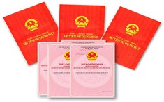 Khánh Hòa ‘lệnh’ đẩy nhanh việc cấp sổ đỏ,… để ngăn ‘tín dụng đen’!