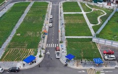 Đông Anh thu về hàng trăm tỉ đồng từ đấu giá đất, lô đất trúng đấu giá cao nhất hơn 100 triệu/m2