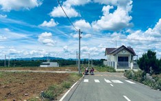 Mua bán đất nền tại Lâm Đồng cần lưu ý những vùng đất nào?