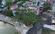 Nam Định sắp đấu giá hơn 300 lô đất, giá khởi điểm thấp nhất từ 3 triệu đồng/m2