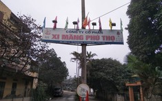 Xi măng Phú Thọ bị cưỡng chế hơn 6 tỷ đồng tiền thuế