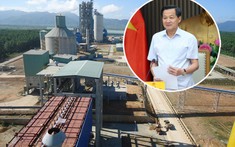 Phó Thủ tướng yêu cầu xử lý dứt điểm, thu hồi tối đa tài sản dự án bột giấy Phương Nam hơn 3.400 tỷ