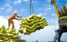 Học phí và giá gạo kéo CPI tháng 10 tăng 0,08%