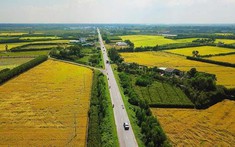 Đối tượng nào được giảm 30% tiền thuê đất năm 2023?