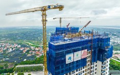 Xây dựng Hòa Bình đã thu hồi  304 tỷ công nợ từ FLC, sắp có thêm hàng trăm tỷ từ thắng kiện 2 đối tác khác