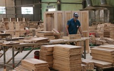 Dư địa lớn cho các doanh nghiệp gỗ Việt Nam thâm nhập vào thị trường Anh