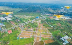 The Diamond City hút chuyên gia có nhu cầu ở thật tại Long An