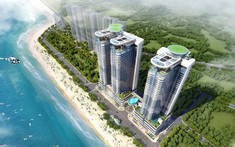 Bán đấu giá khoản nợ nghìn tỷ của Bến du thuyền Hoàng Gia, hạ giá hơn 100 tỷ