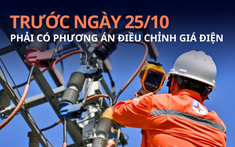 Trước ngày 25/10, EVN phải có phương án điều chỉnh giá điện   